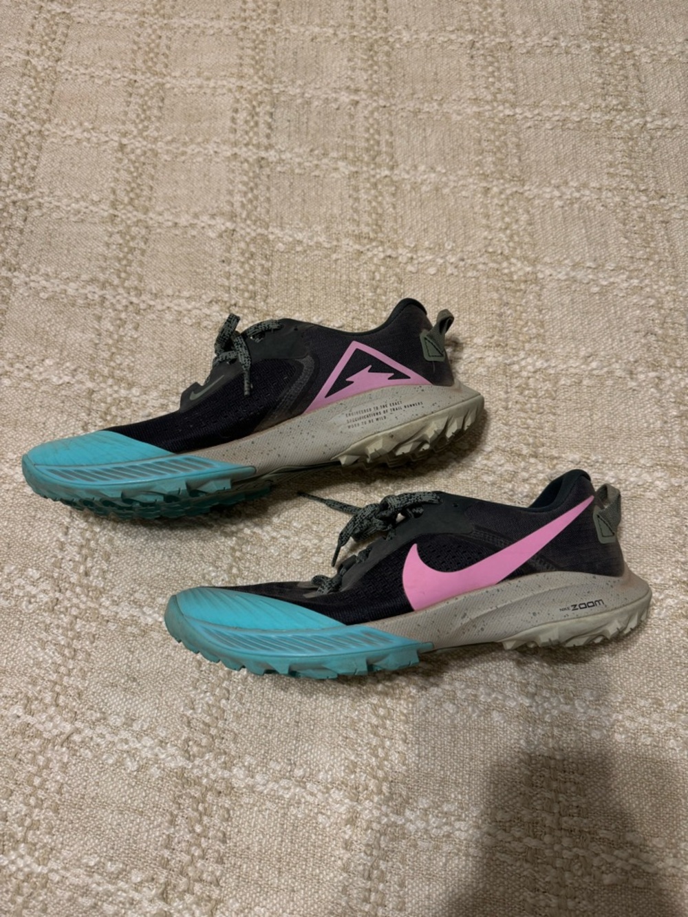 Nike Terra Kiger Trail Shoes